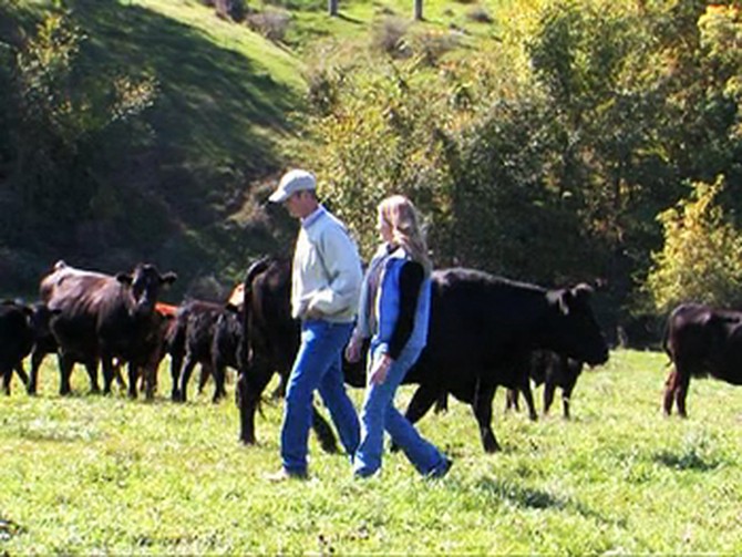 Amy and Bart Mitchell's veal farm