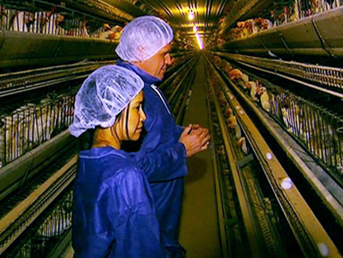 Lisa and John Baker visit a conventional egg farm.