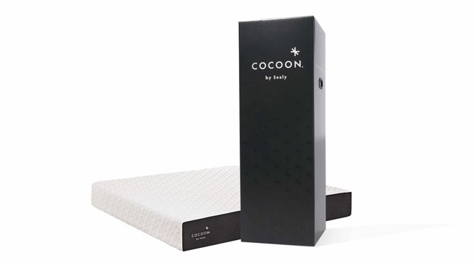 Cocoon by Sealy Classic