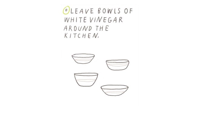 white vinegar to eliminate kitchen odor