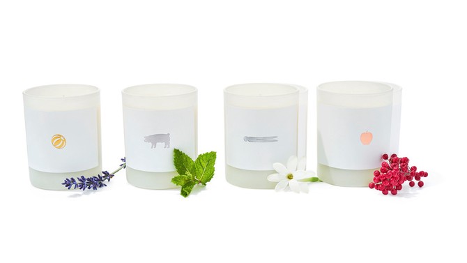 Scented Candles by Joya