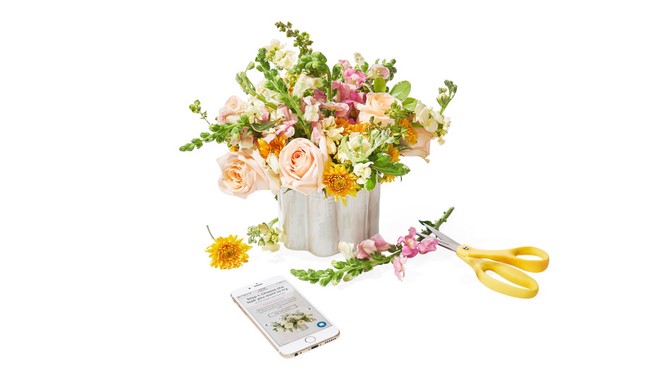 DIY Flower Arrangement Kit