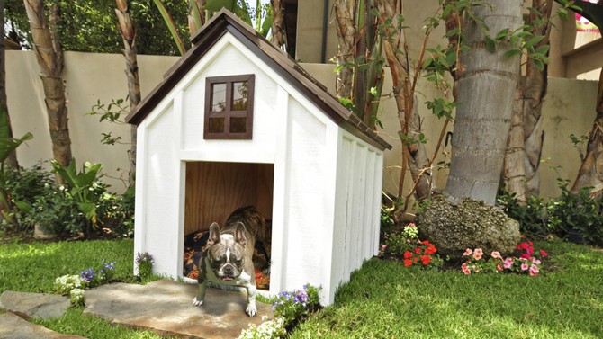 designer dog house
