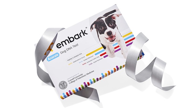 Embark Dog DNA test kit