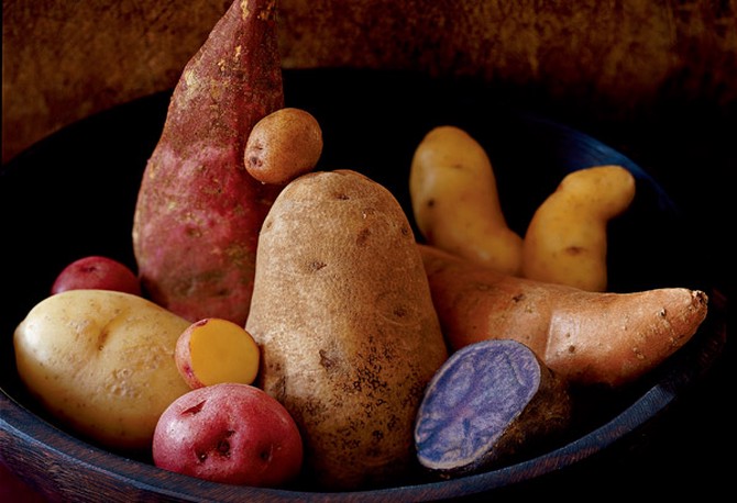 Different kinds of potatoes