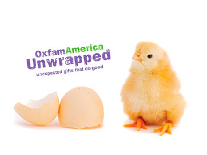 Oxfam America's gift of a dozen chicks