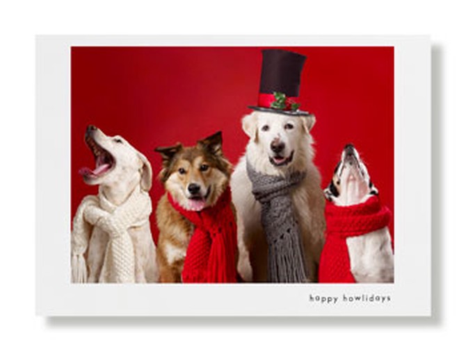 Hooray for the Underdog holiday card