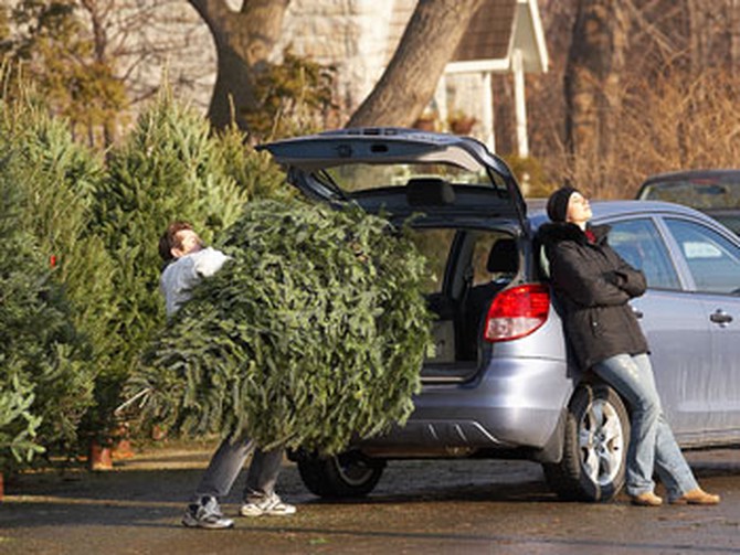 Buying a christmas tree