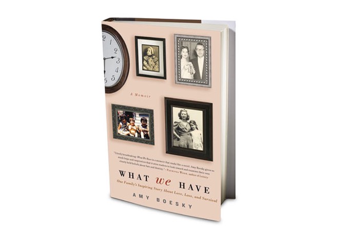 What We Have by Amy Boesky