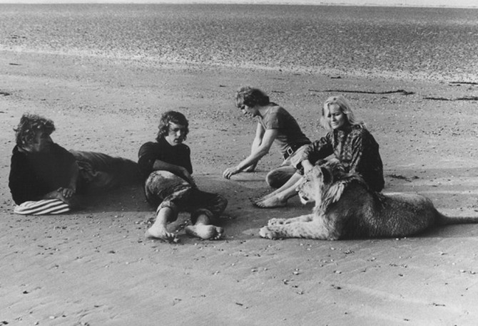 Christian the Lion with Bill Travers, John Rendall, Ace Berg, and Virginia McKenna at the beach