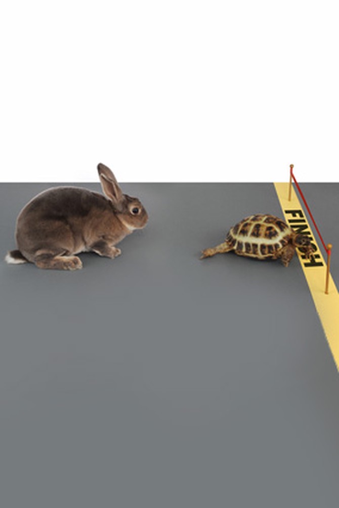 Tortoise and hare race