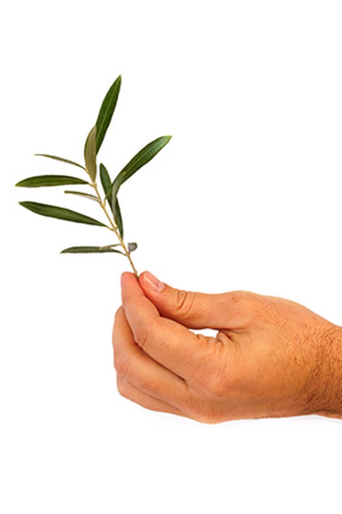 Offering an olive branch