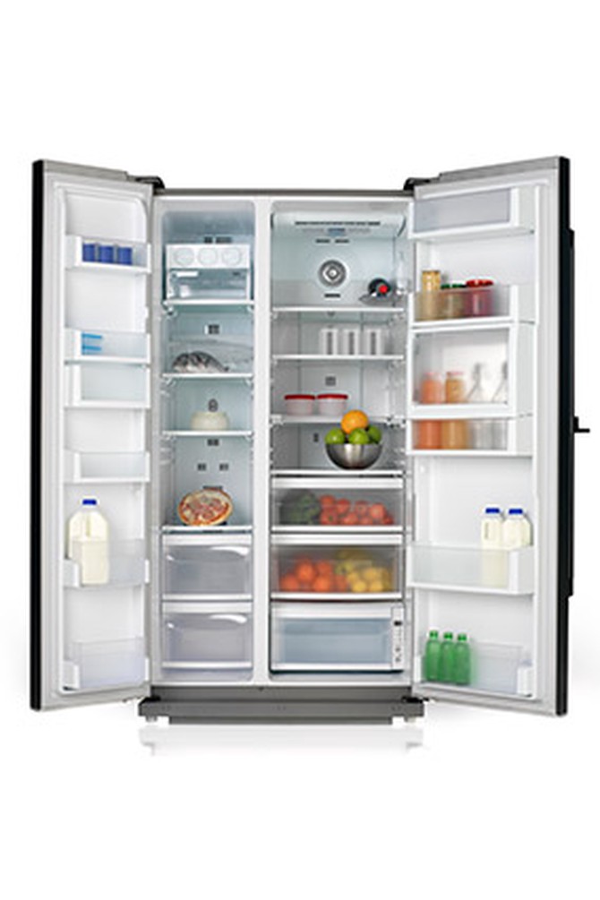 Minimalist fridge