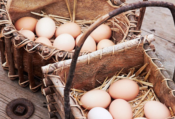 Baskets of eggs