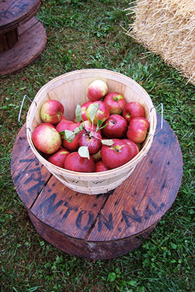 Westwind Orchard apples