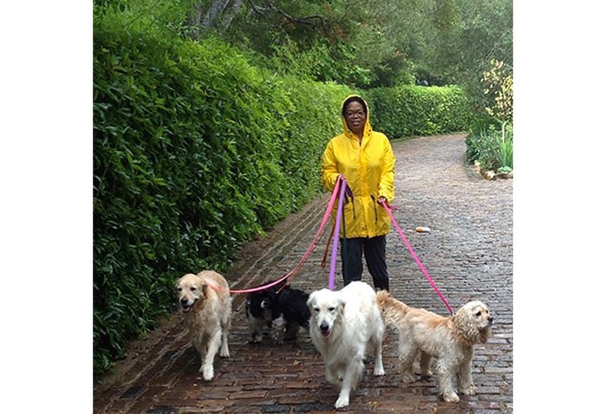 oprah and dogs