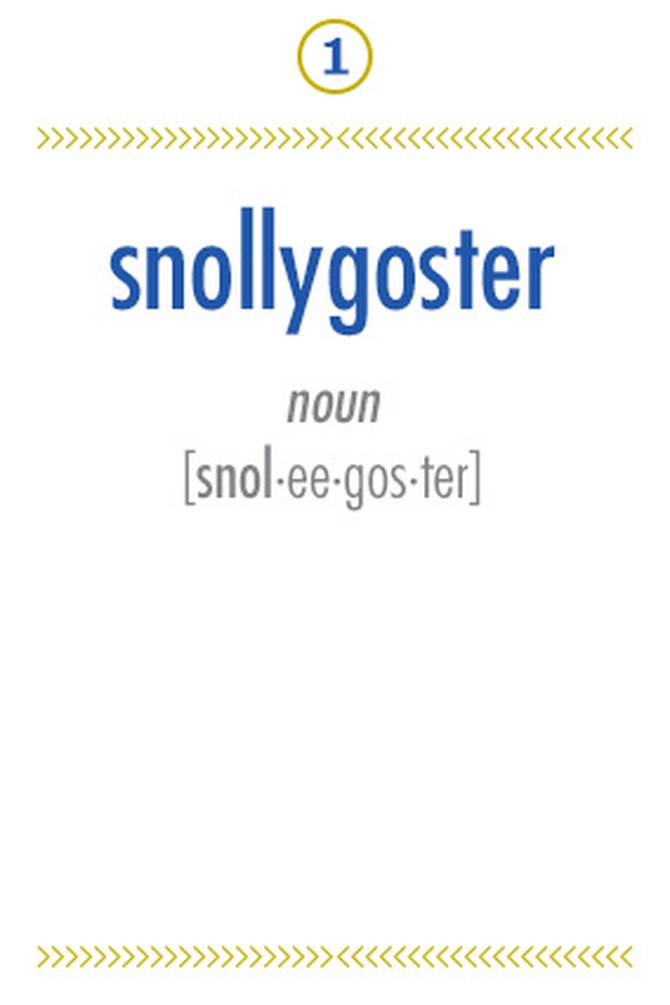 Snollygoster