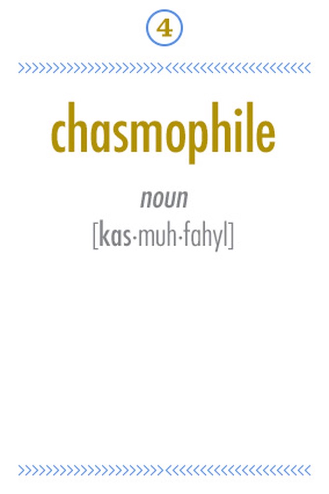 Chasmophile