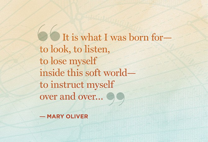 mary oliver quote