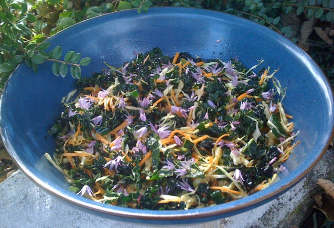 Kale Apple and Chive Flower Salad