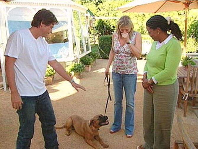 Rob and Sheryl Lowe and their new bull mastiff puppy.