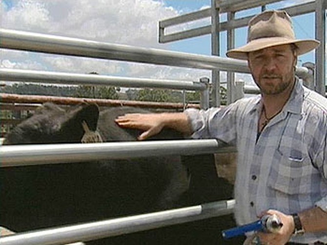 Actor Russell Crowe works on his ranch.
