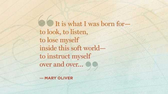 mary oliver quote