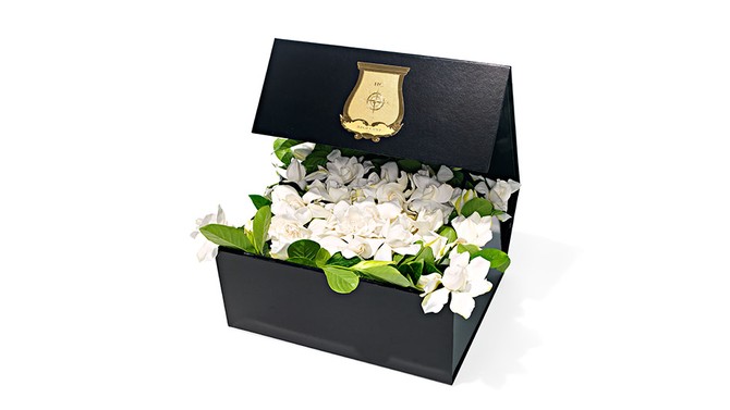 Deluxe Vine and Bloom Box