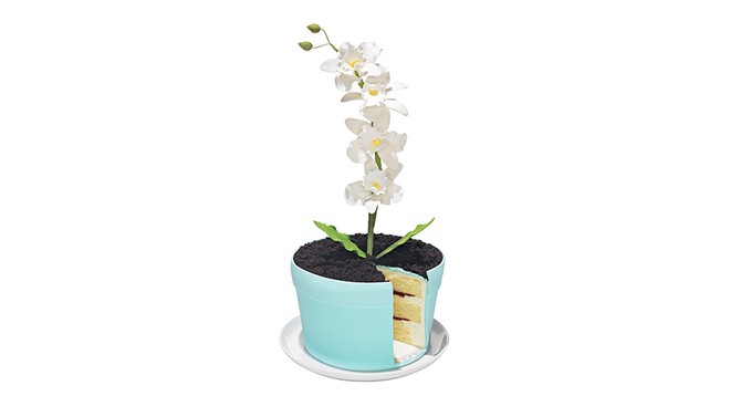 Orchid Flowerpot Cake