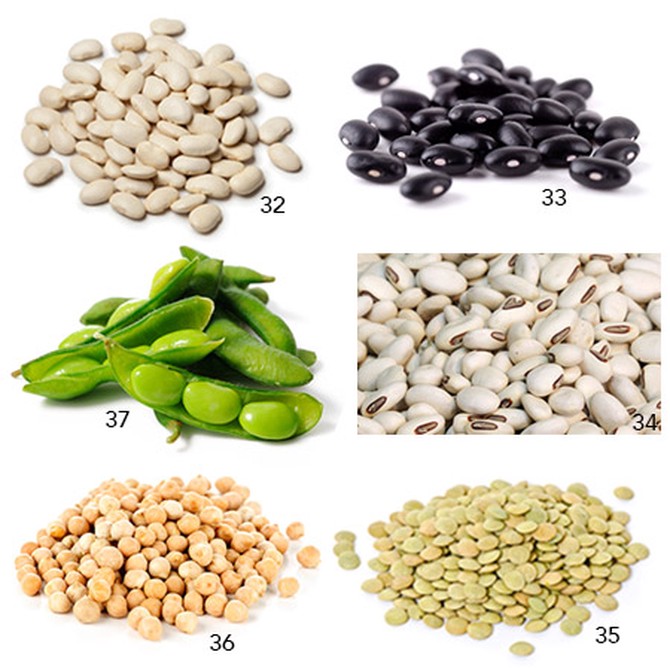 bean sources of protein