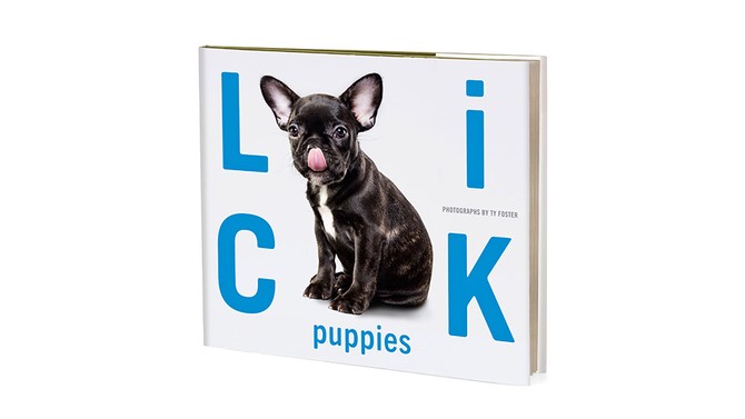 lick puppy book gayle king october 2016