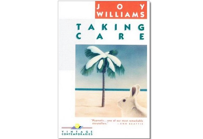 Taking Care by Joy Williams
