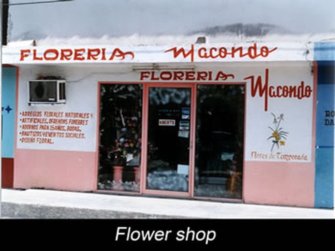 Journey Colombia Macondo Flower Shop