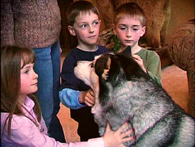 Missy and Jeff's children with their dog, Rocket