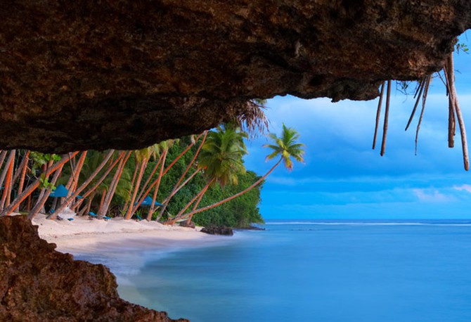 Coconut trees along beach on Vanua Levu in Fiji Islands