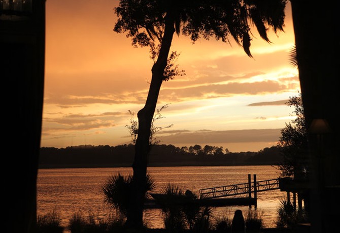 View of river, tree and dock at sunset