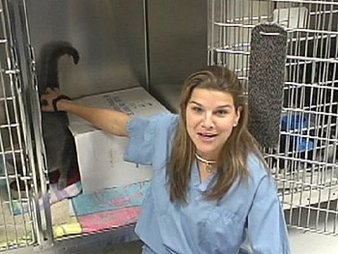 Susanna helps animals at a run-down shelter.