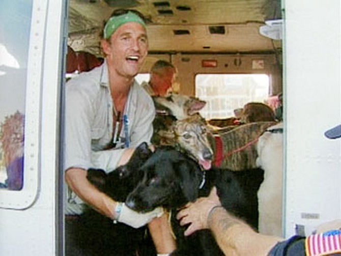 Matthew McConaughey on helicopter with dogs.