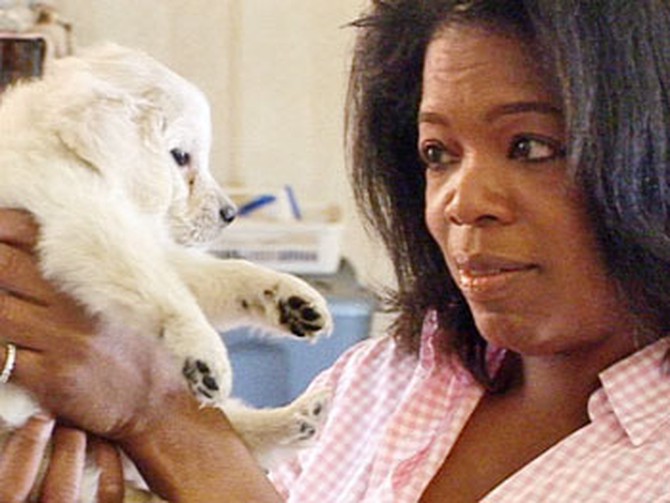Oprah and puppy