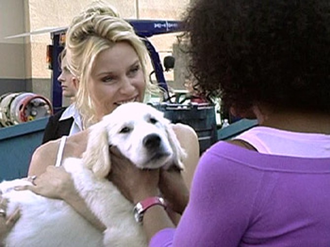 Nicollette Sheridan introduces Oprah to Oliver, a white golden retriever