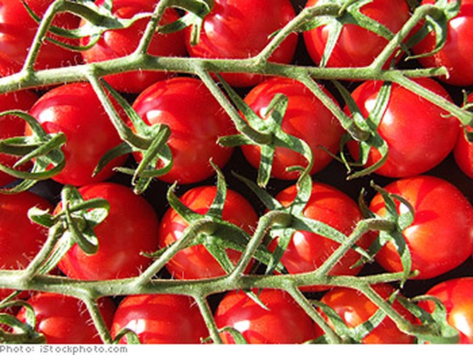 Can tomato paste prevent sunburn?