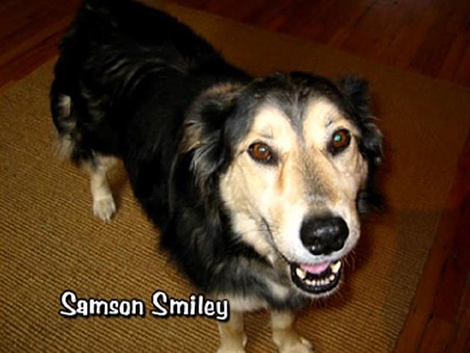Samson Smiley
