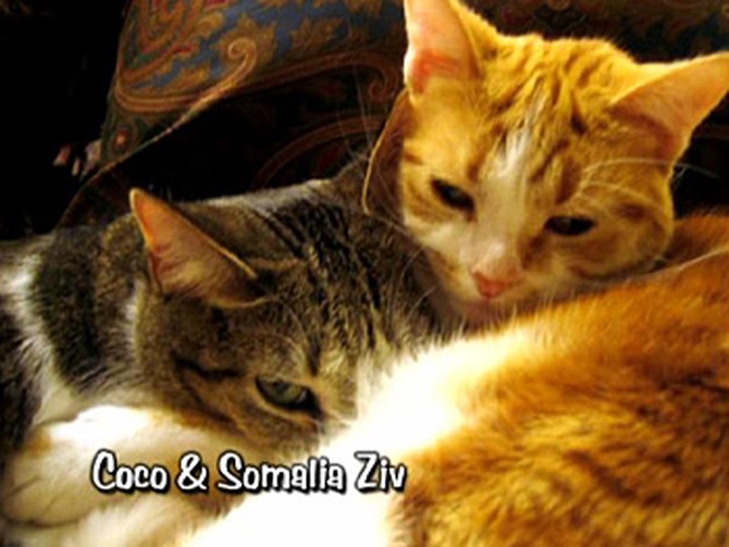 Coco and Somalia Ziv