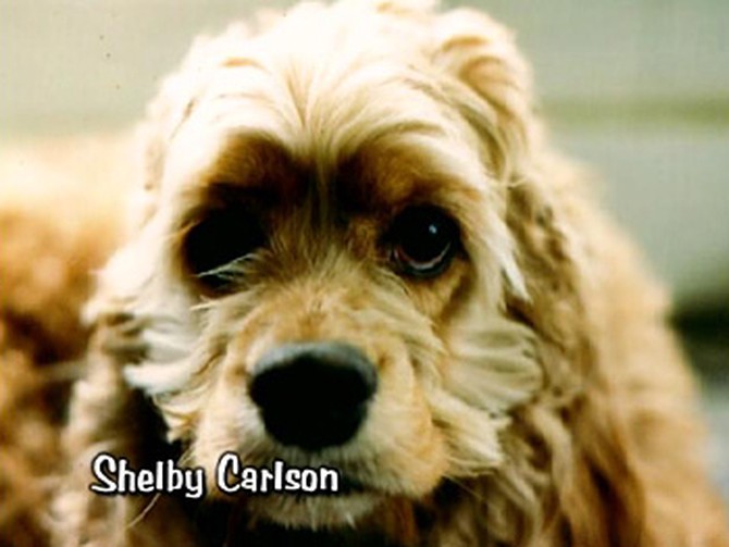 Shelby Carlson