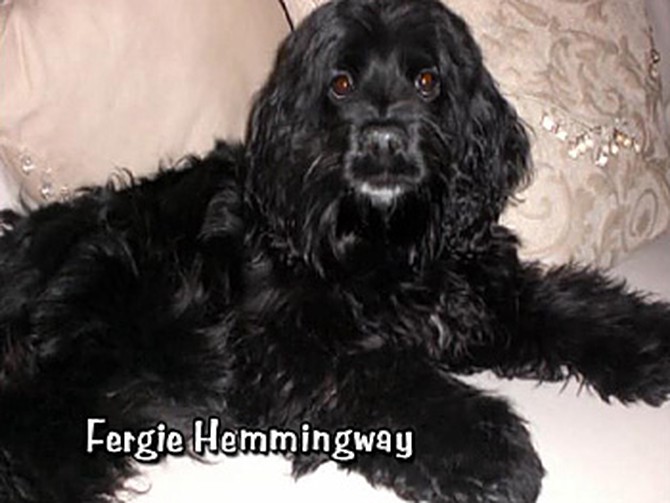 Fergie Hemmingway