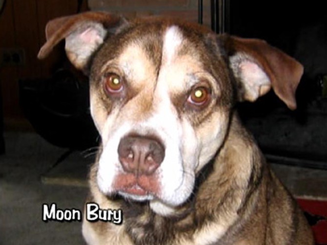 Moon Bury