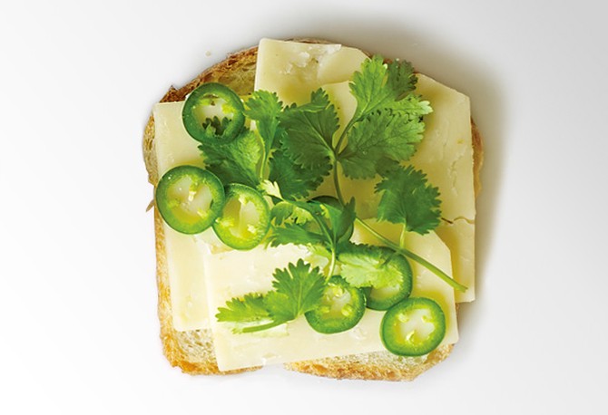 Cheddar, Jalapeno and Cilantro on White Grilled Cheese Sandwich