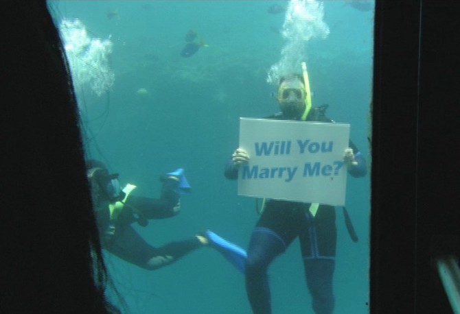 Blake's underwater proposal
