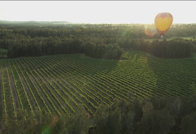 Hot air balloon over Hunter Valley