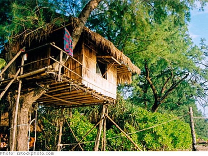 Sleep in a treehouse